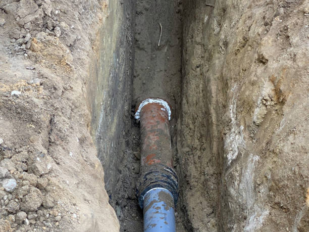 Best Flood damage cleanup  in Westlake Vlage, IL