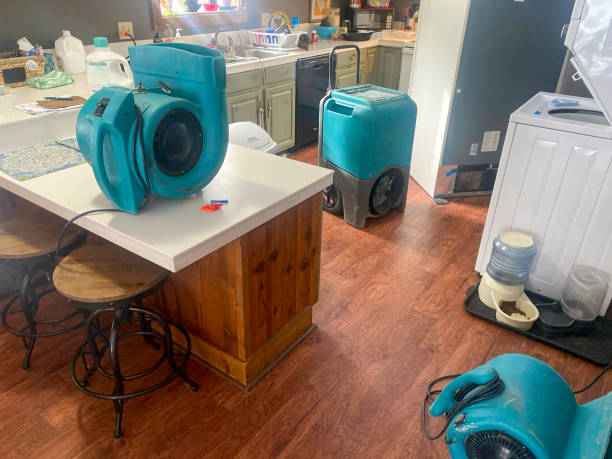 Best 24/7 water damage repair  in Westlake Vlage, IL