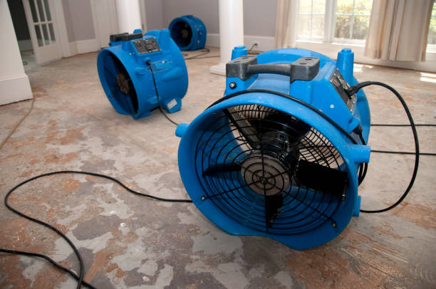 Best Emergency water damage restoration  in Westlake Vlage, IL