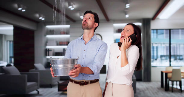 Best Residential water damage restoration  in Westlake Vlage, IL