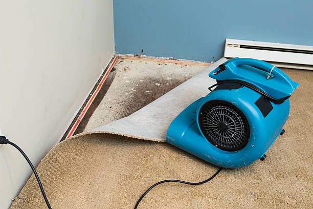Best Flooded house restoration  in Westlake Vlage, IL